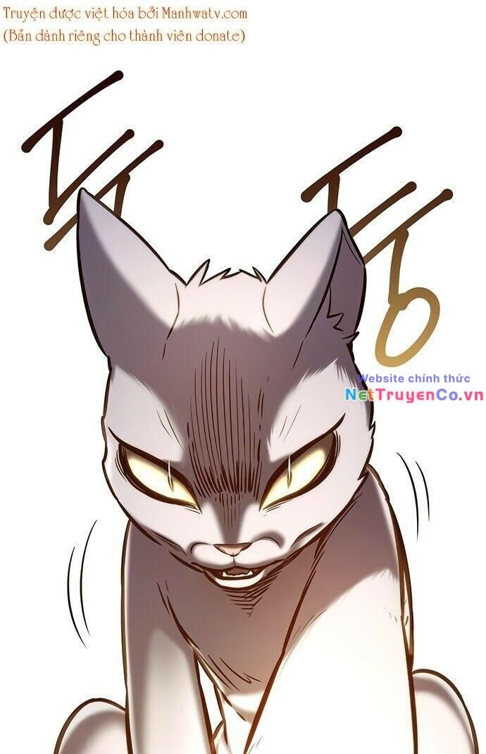 Cô Dâu Của Sói Trắng Chapter 199 - Trang 2