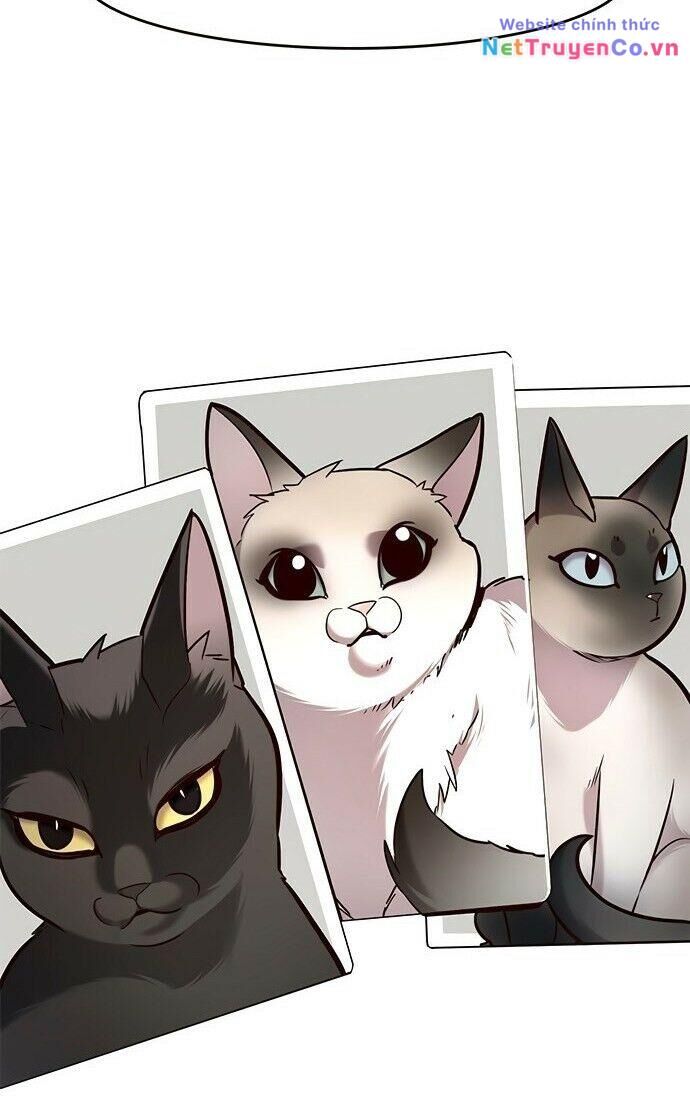 Cô Dâu Của Sói Trắng Chapter 199 - Trang 2