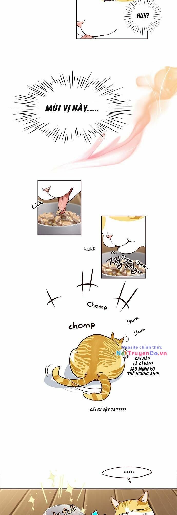 Cô Dâu Của Sói Trắng Chapter 2 - Trang 2