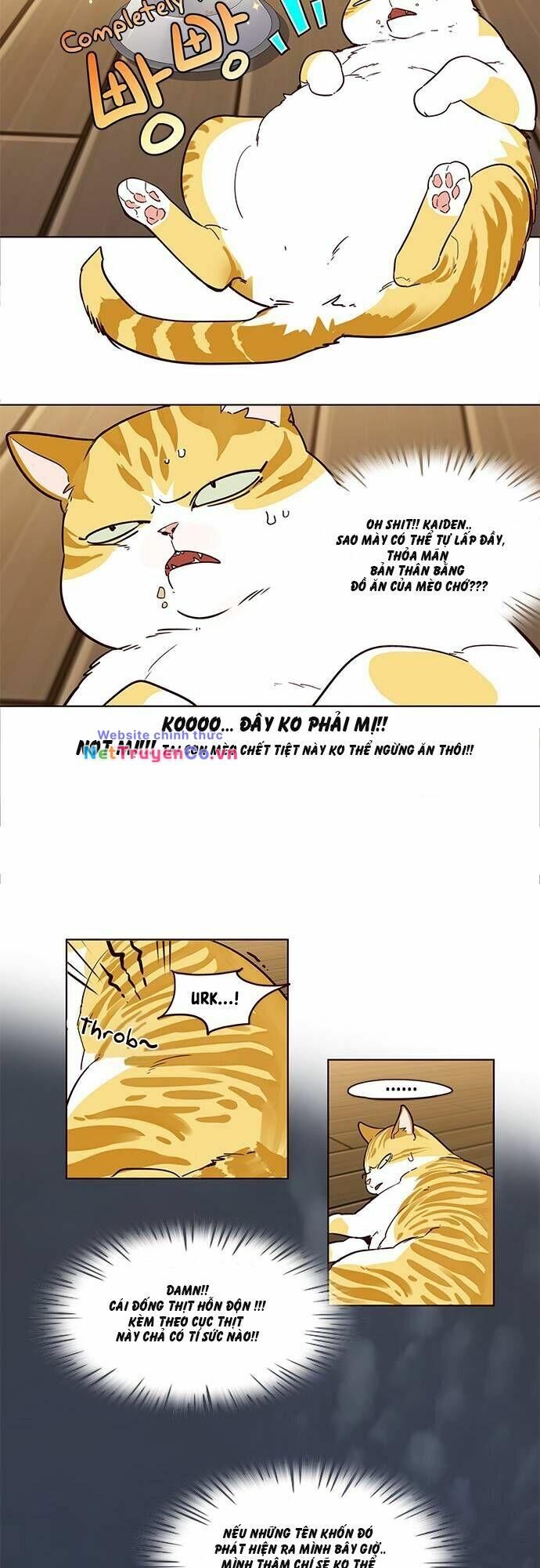 Cô Dâu Của Sói Trắng Chapter 2 - Trang 2