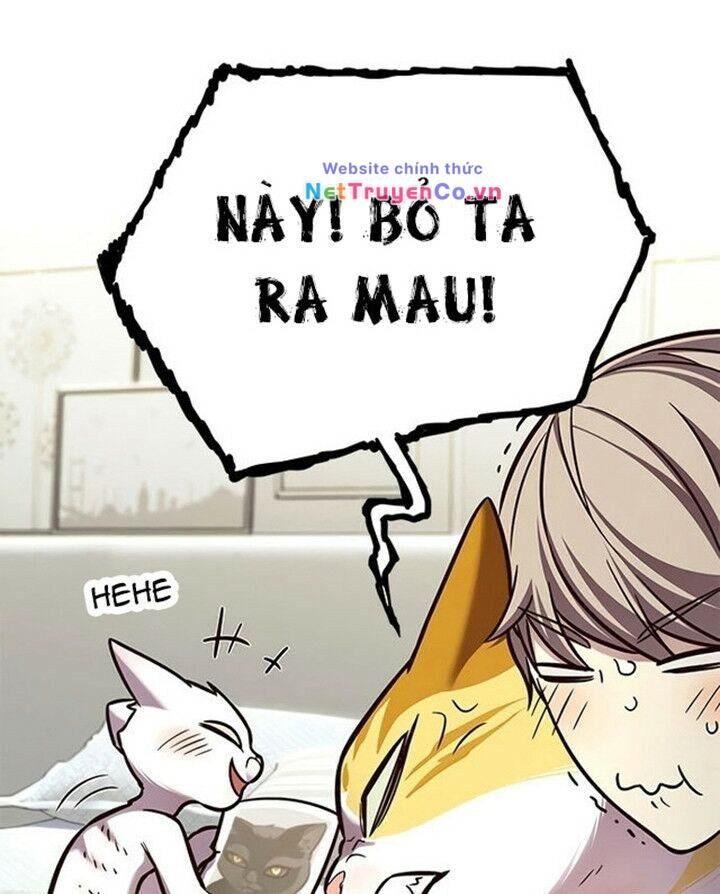 Cô Dâu Của Sói Trắng Chapter 200 - Trang 2