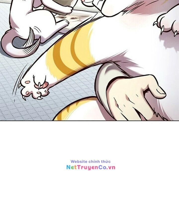 Cô Dâu Của Sói Trắng Chapter 200 - Trang 2