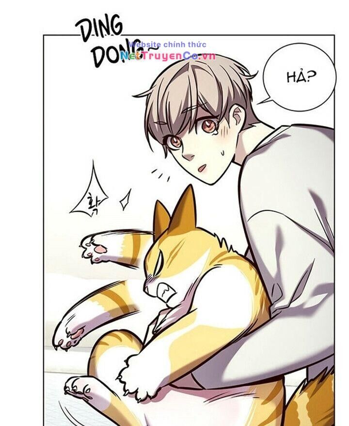 Cô Dâu Của Sói Trắng Chapter 200 - Trang 2