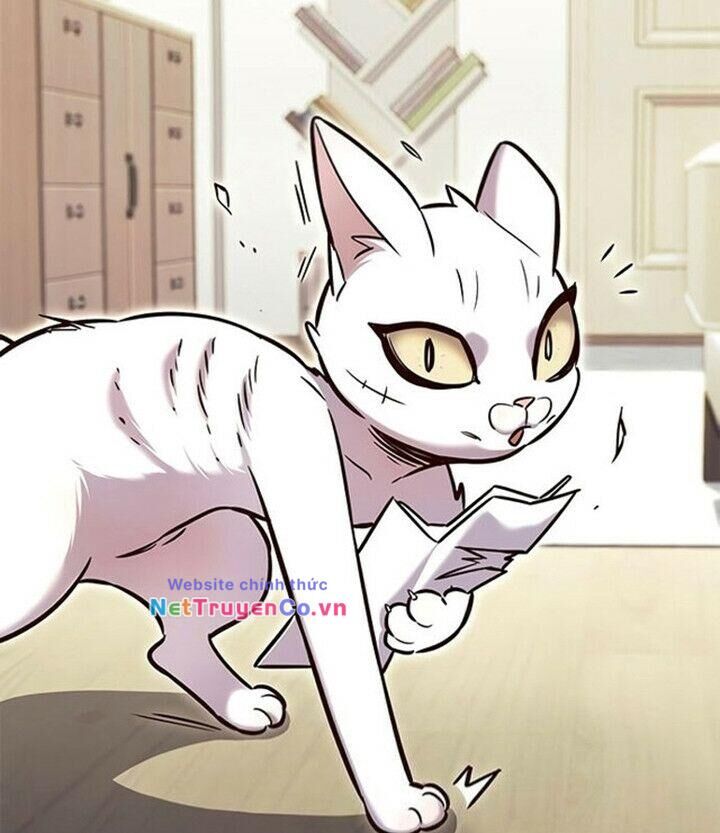 Cô Dâu Của Sói Trắng Chapter 200 - Trang 2