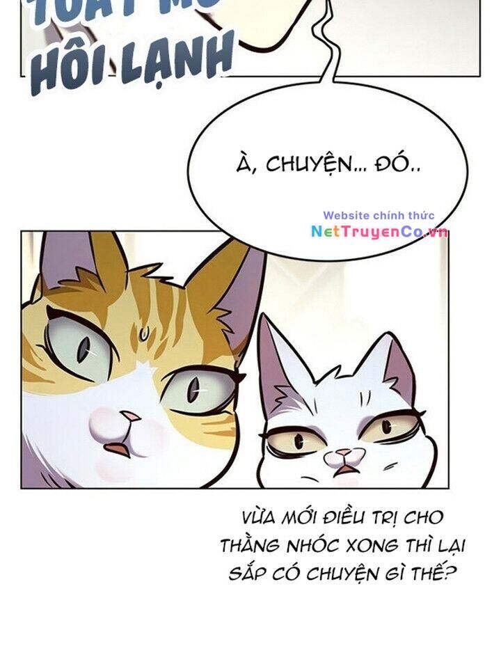 Cô Dâu Của Sói Trắng Chapter 200 - Trang 2