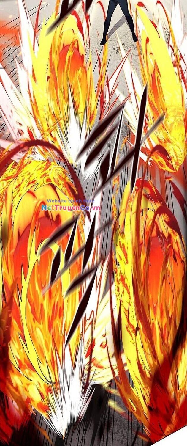 Cô Dâu Của Sói Trắng Chapter 203 - Trang 2