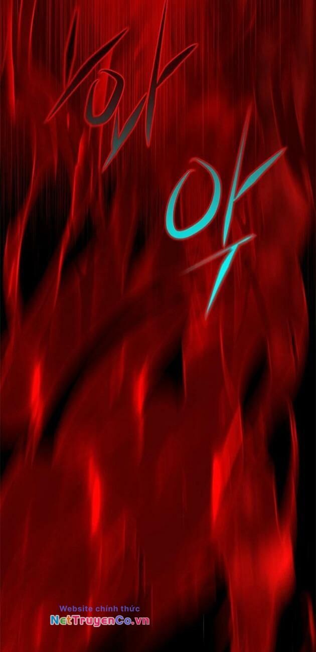 Cô Dâu Của Sói Trắng Chapter 204 - Trang 2