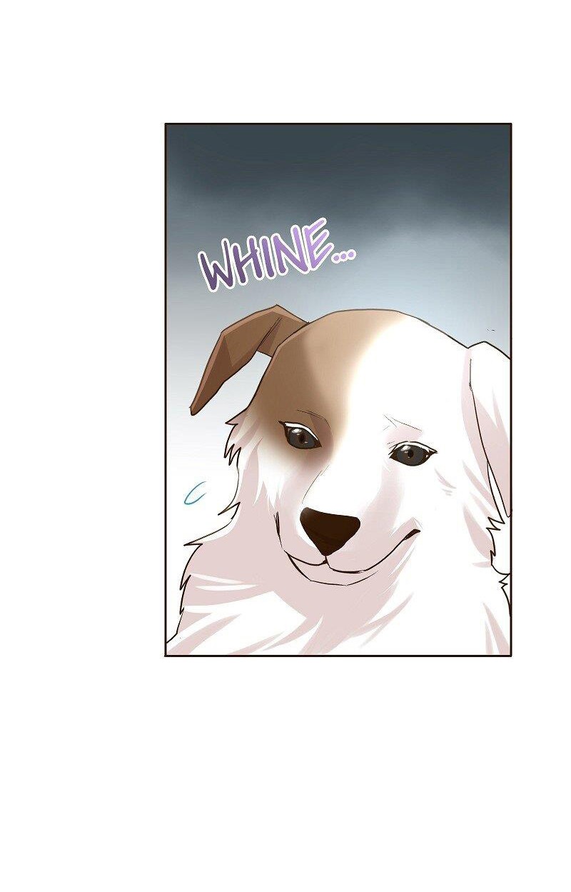 Cô Dâu Của Sói Trắng Chapter 21 - Trang 2