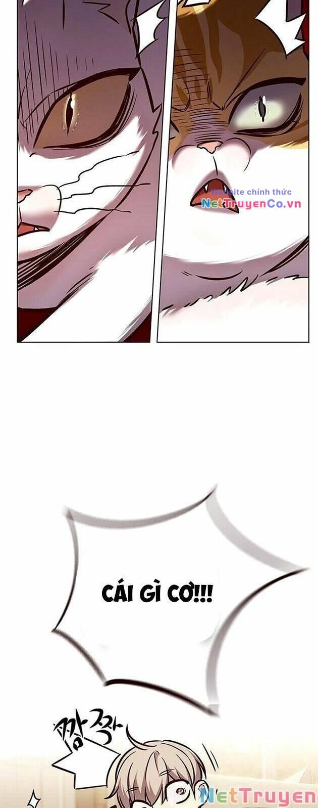 Cô Dâu Của Sói Trắng Chapter 225 - Trang 2