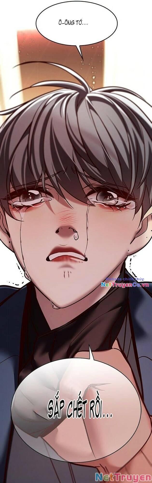 Cô Dâu Của Sói Trắng Chapter 226 - Trang 2