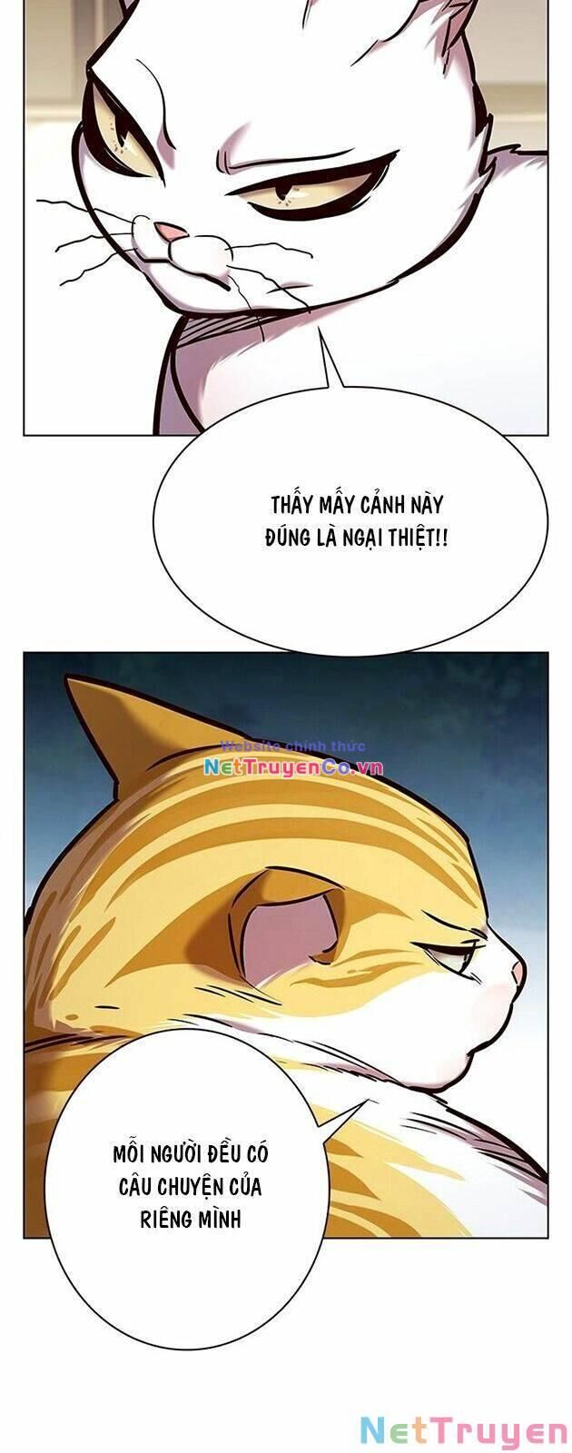 Cô Dâu Của Sói Trắng Chapter 227 - Trang 2