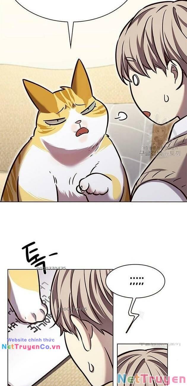 Cô Dâu Của Sói Trắng Chapter 228 - Trang 2