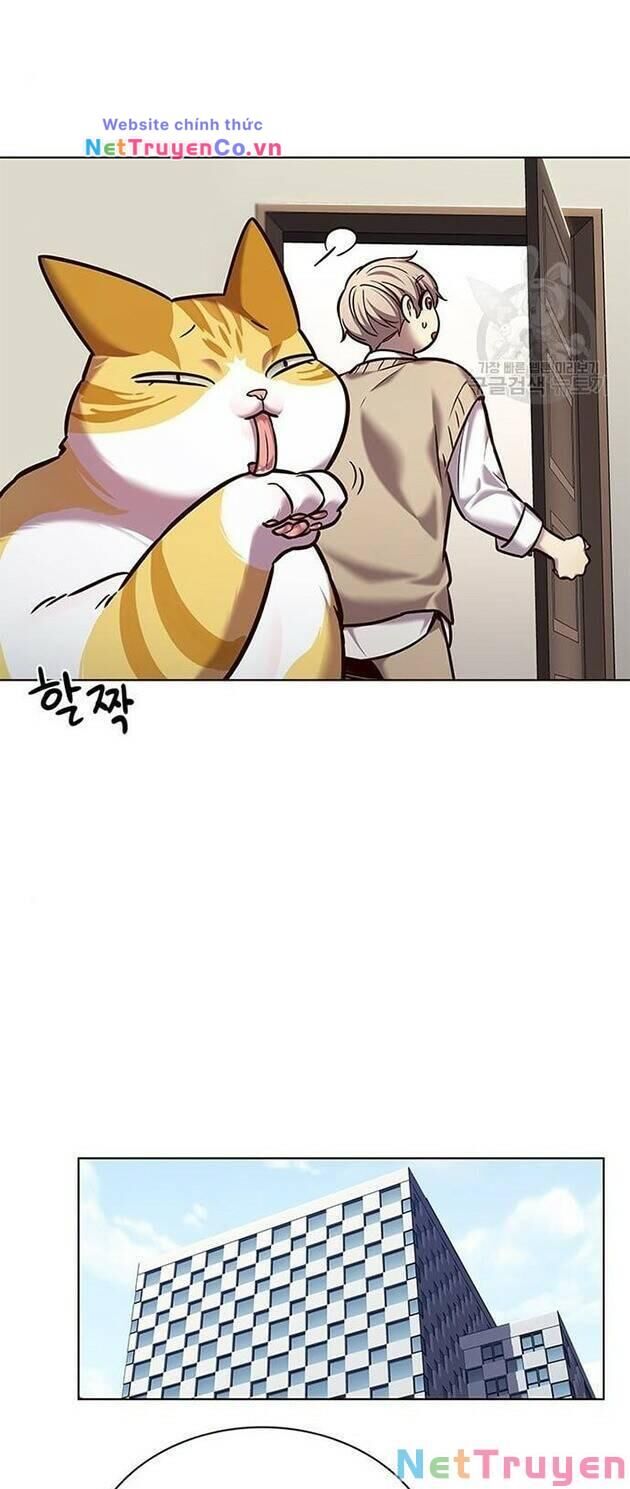 Cô Dâu Của Sói Trắng Chapter 228 - Trang 2