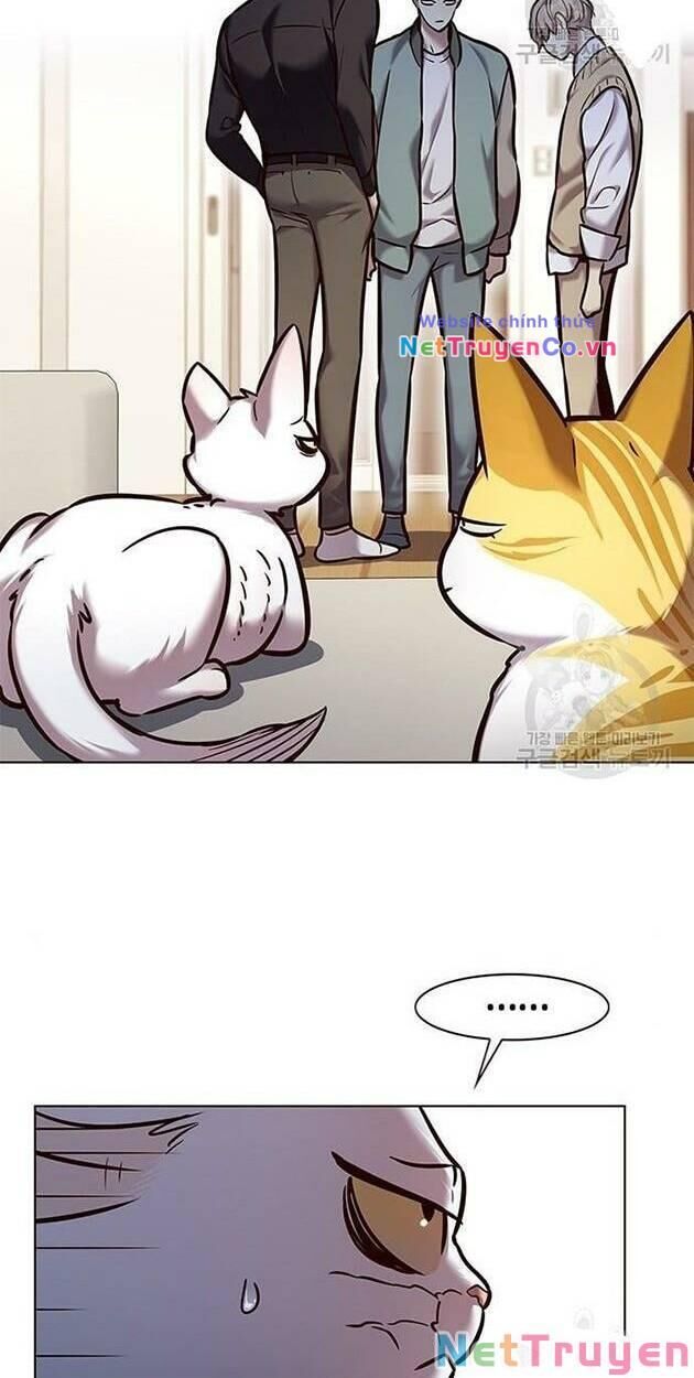 Cô Dâu Của Sói Trắng Chapter 228 - Trang 2