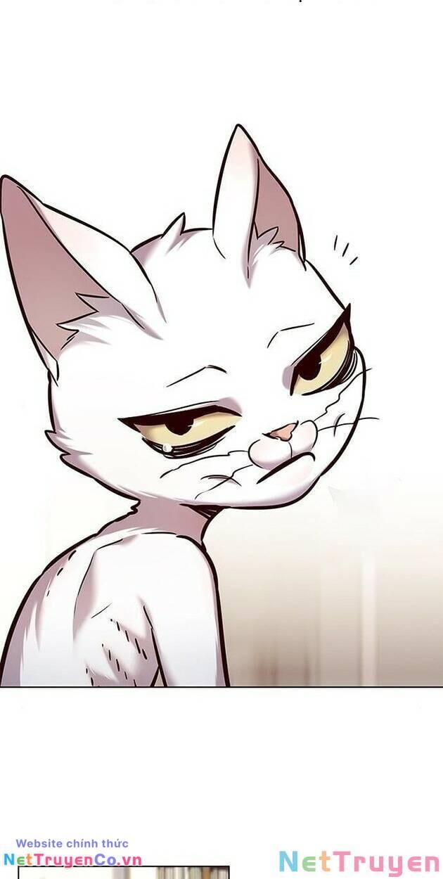 Cô Dâu Của Sói Trắng Chapter 228 - Trang 2