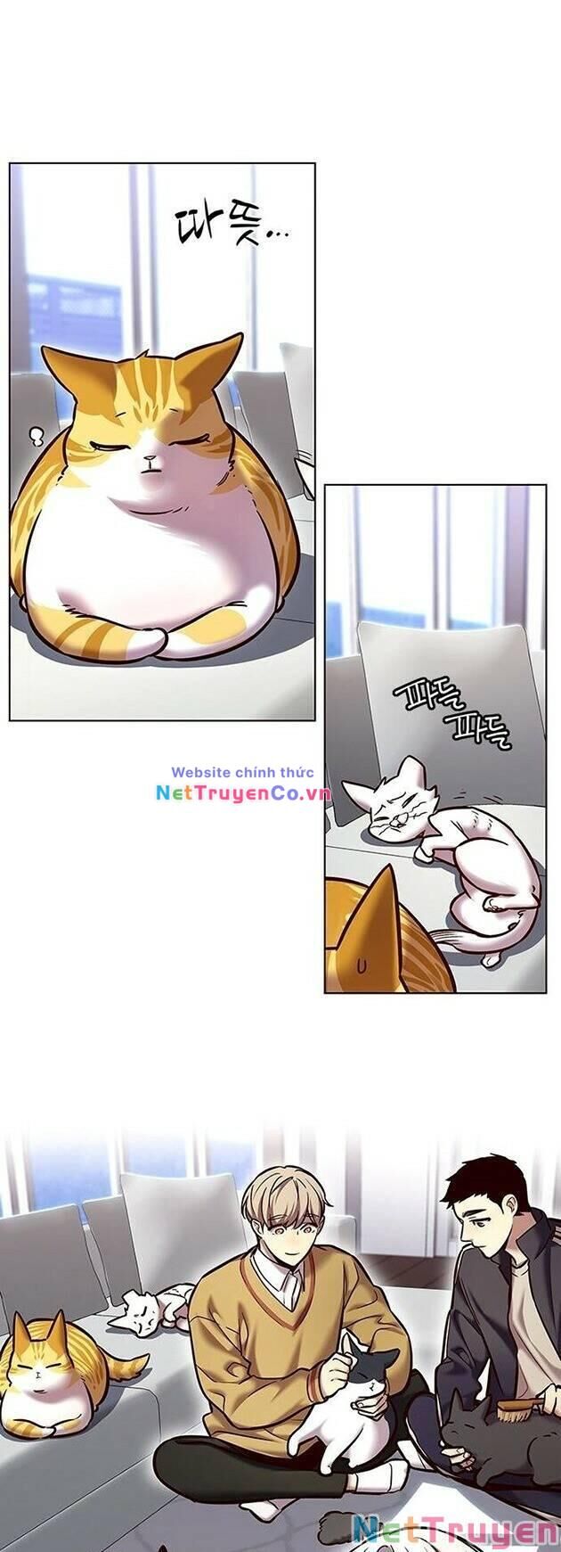 Cô Dâu Của Sói Trắng Chapter 229 - Trang 2