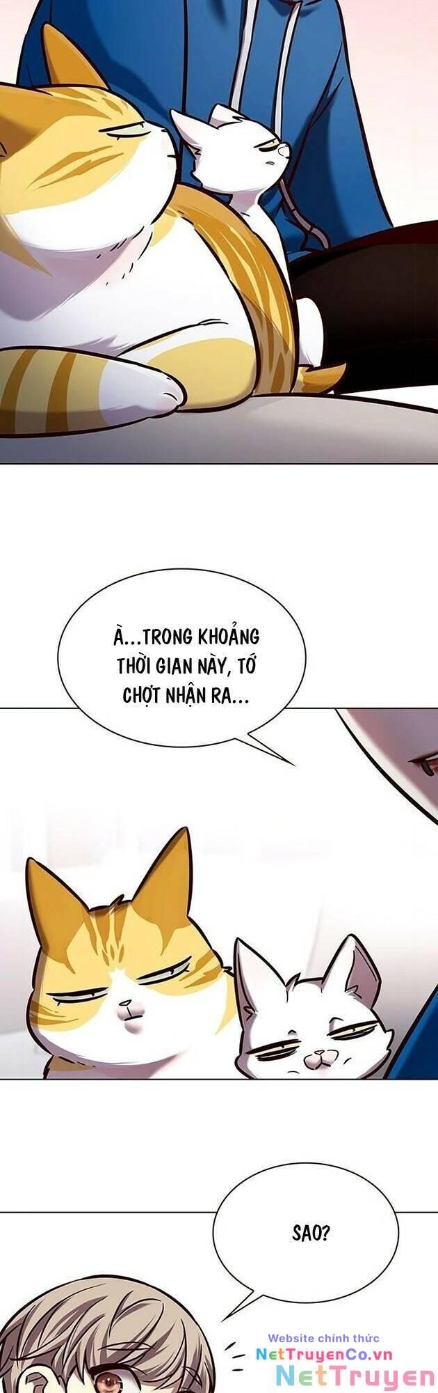 Cô Dâu Của Sói Trắng Chapter 229 - Trang 2