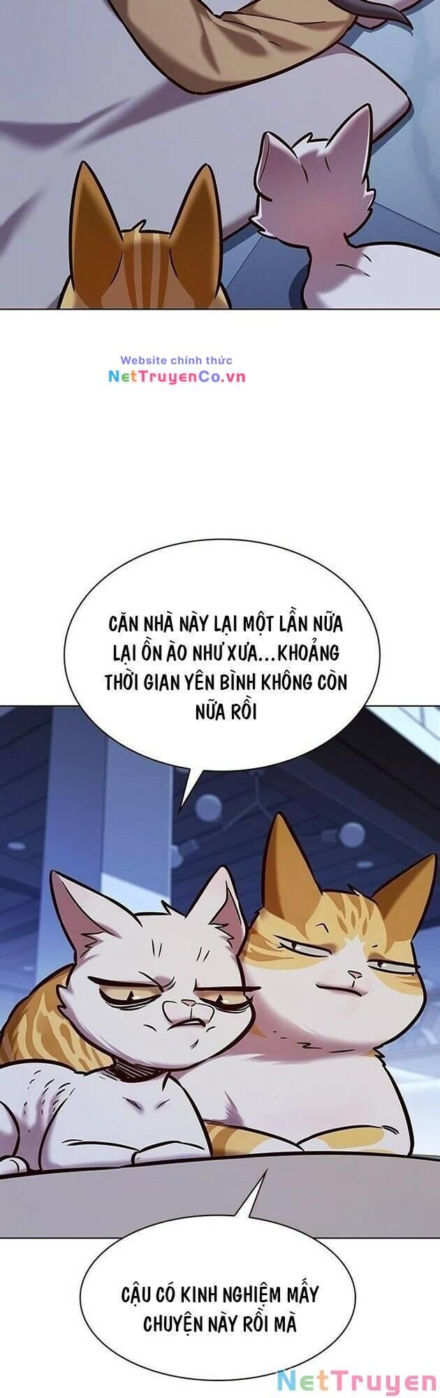 Cô Dâu Của Sói Trắng Chapter 229 - Trang 2