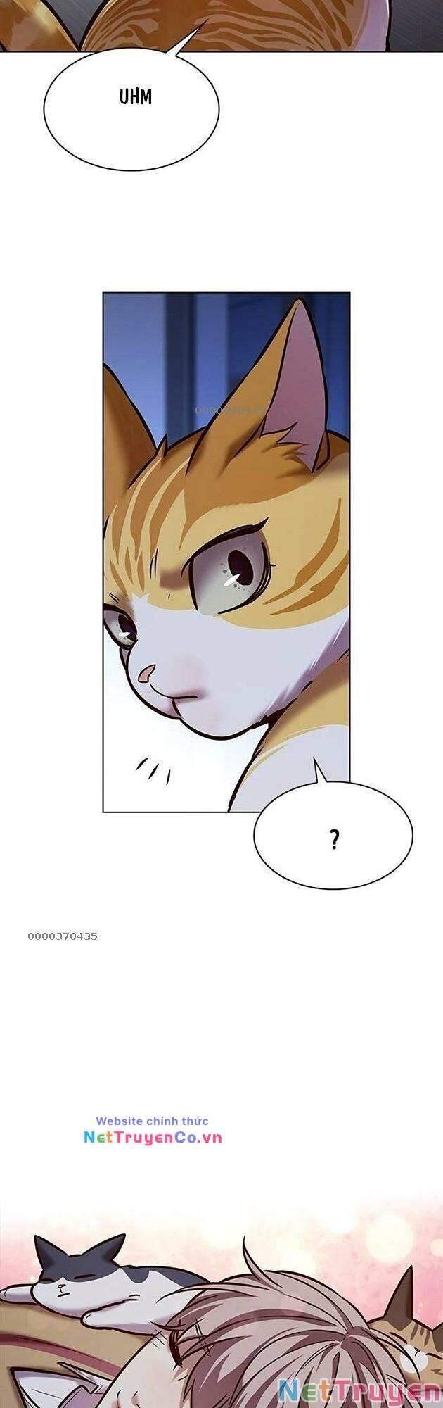 Cô Dâu Của Sói Trắng Chapter 229 - Trang 2