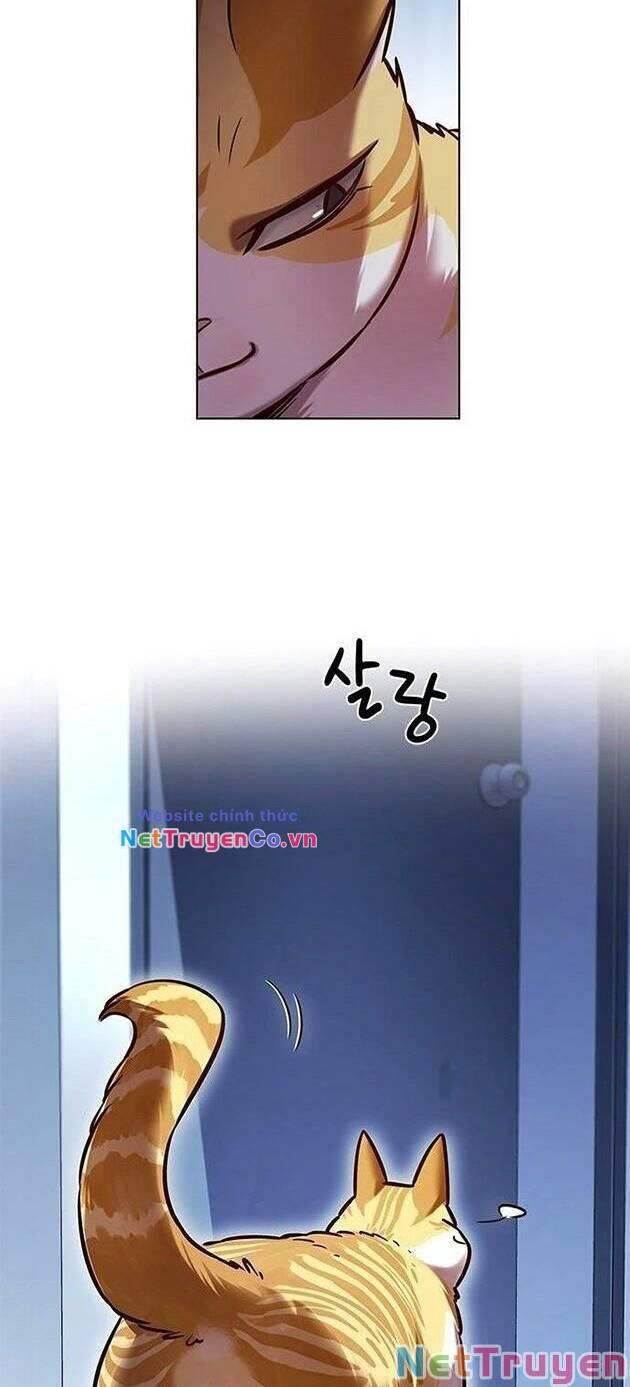 Cô Dâu Của Sói Trắng Chapter 229 - Trang 2