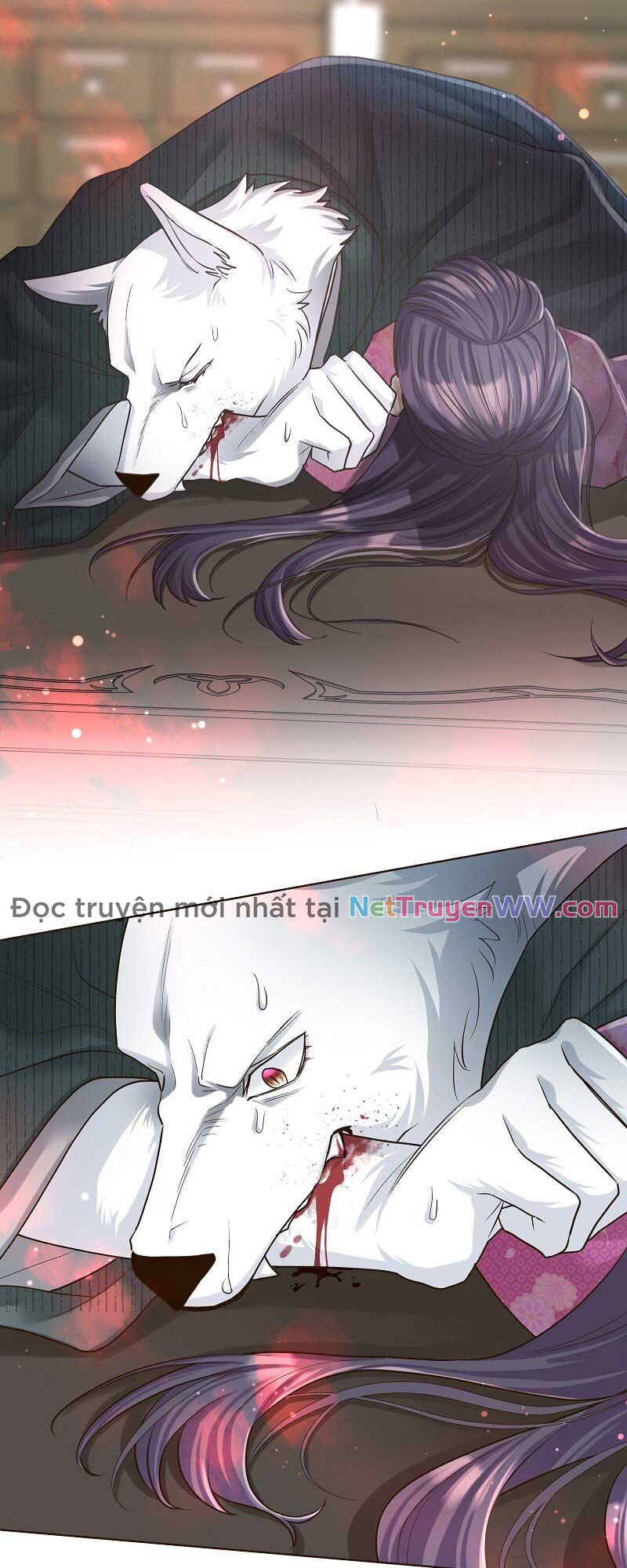 Cô Dâu Của Sói Trắng Chapter 23 - Trang 2
