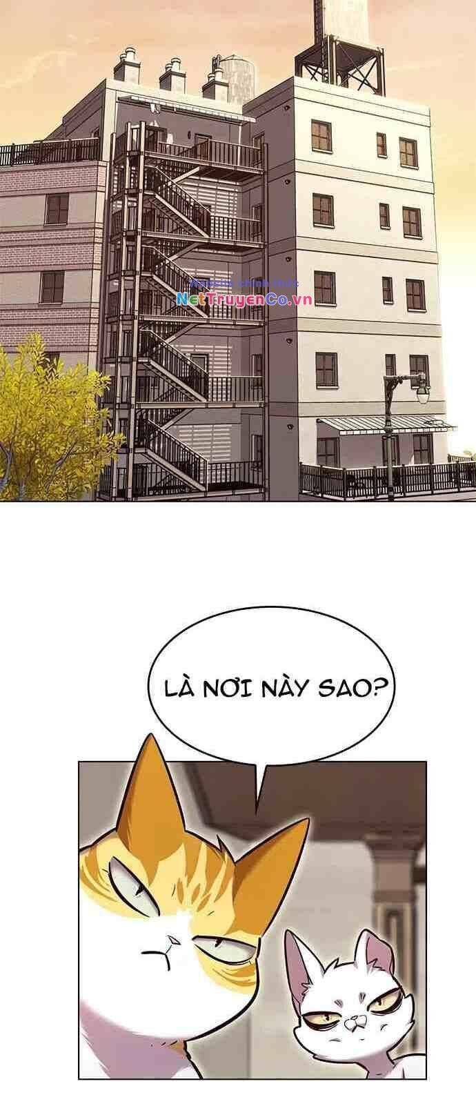 Cô Dâu Của Sói Trắng Chapter 231 - Trang 2