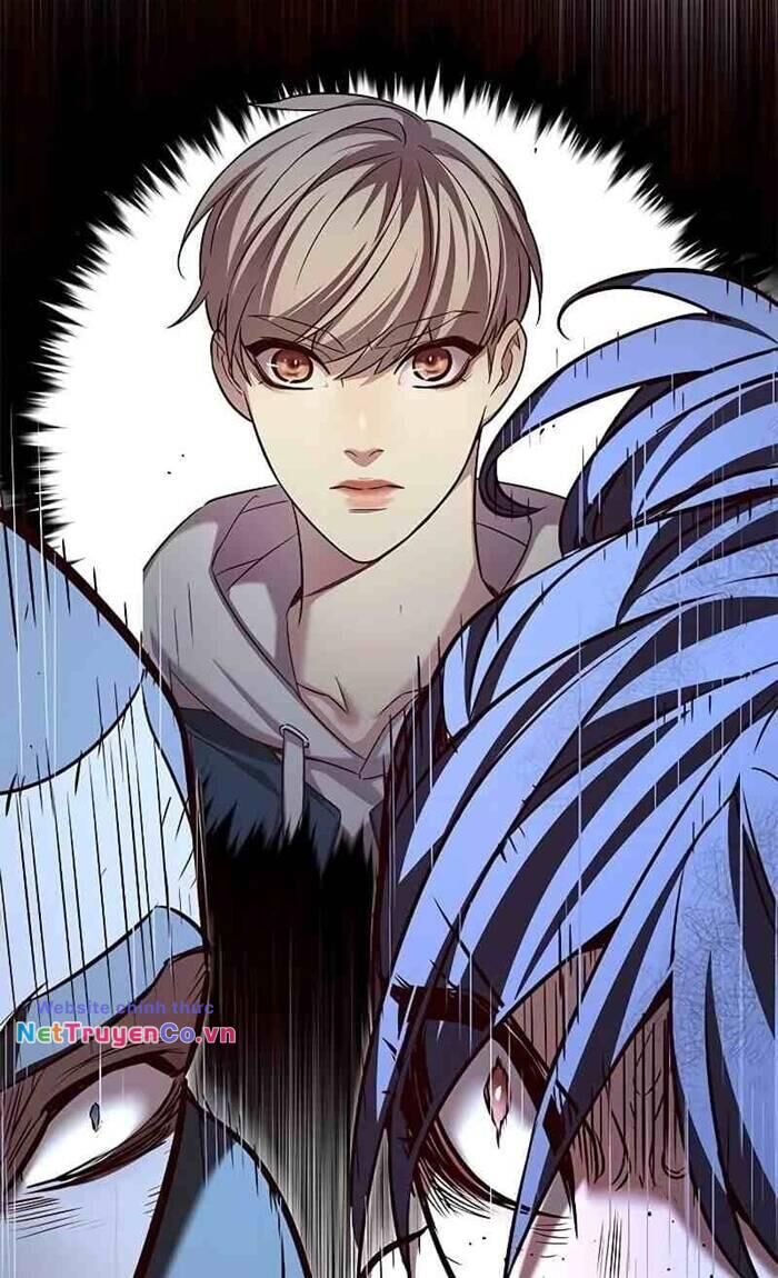 Cô Dâu Của Sói Trắng Chapter 236 - Trang 2