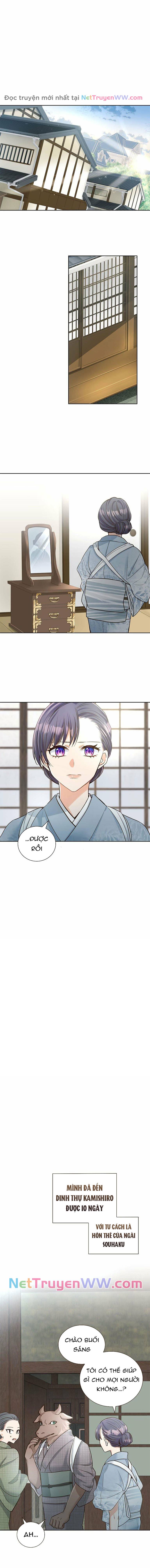 Cô Dâu Của Sói Trắng Chapter 3 - Trang 2