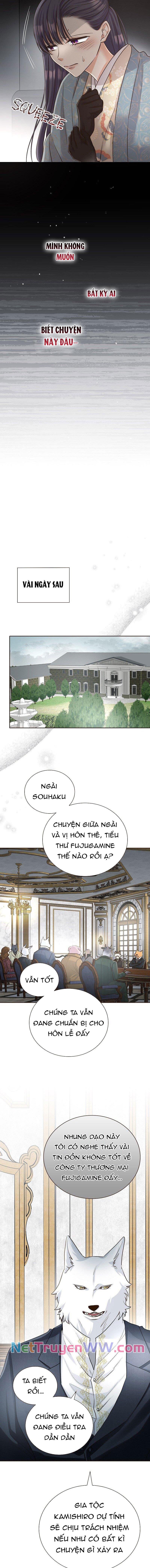 Cô Dâu Của Sói Trắng Chapter 31 - Trang 2