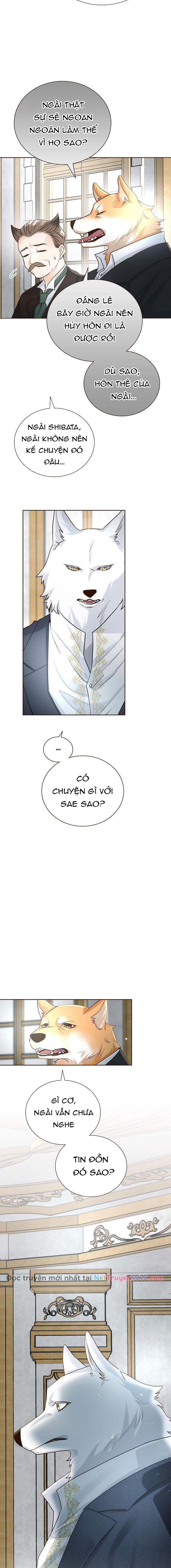 Cô Dâu Của Sói Trắng Chapter 31 - Trang 2