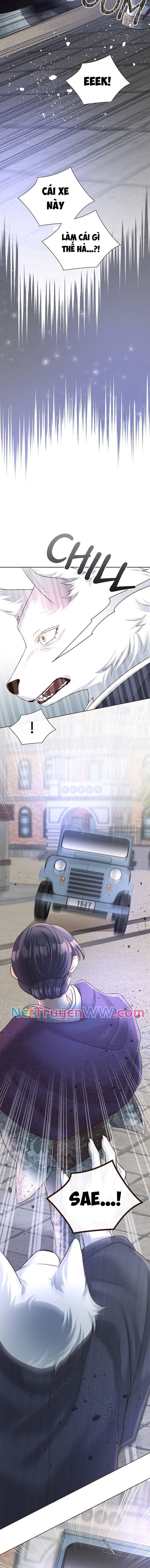 Cô Dâu Của Sói Trắng Chapter 40 - Trang 2