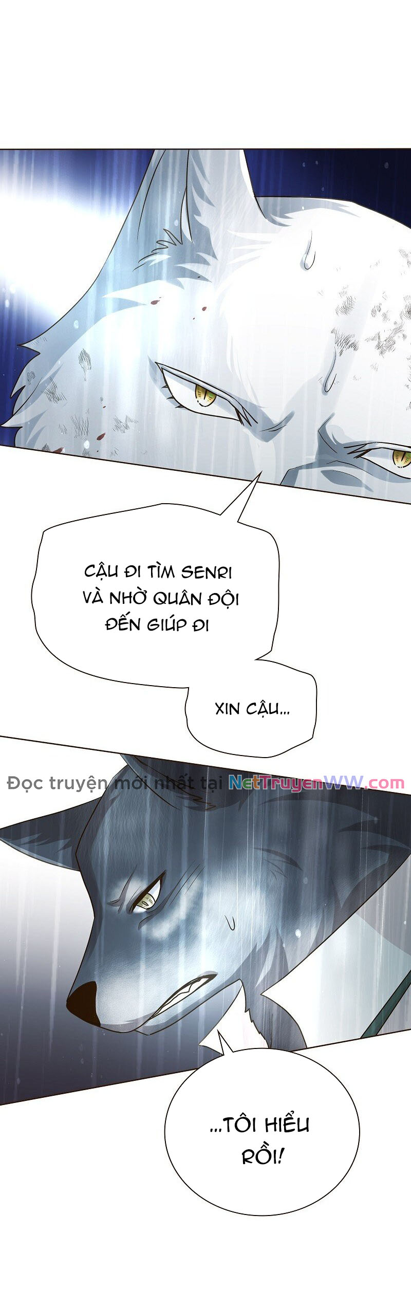 Cô Dâu Của Sói Trắng Chapter 41 - Trang 2
