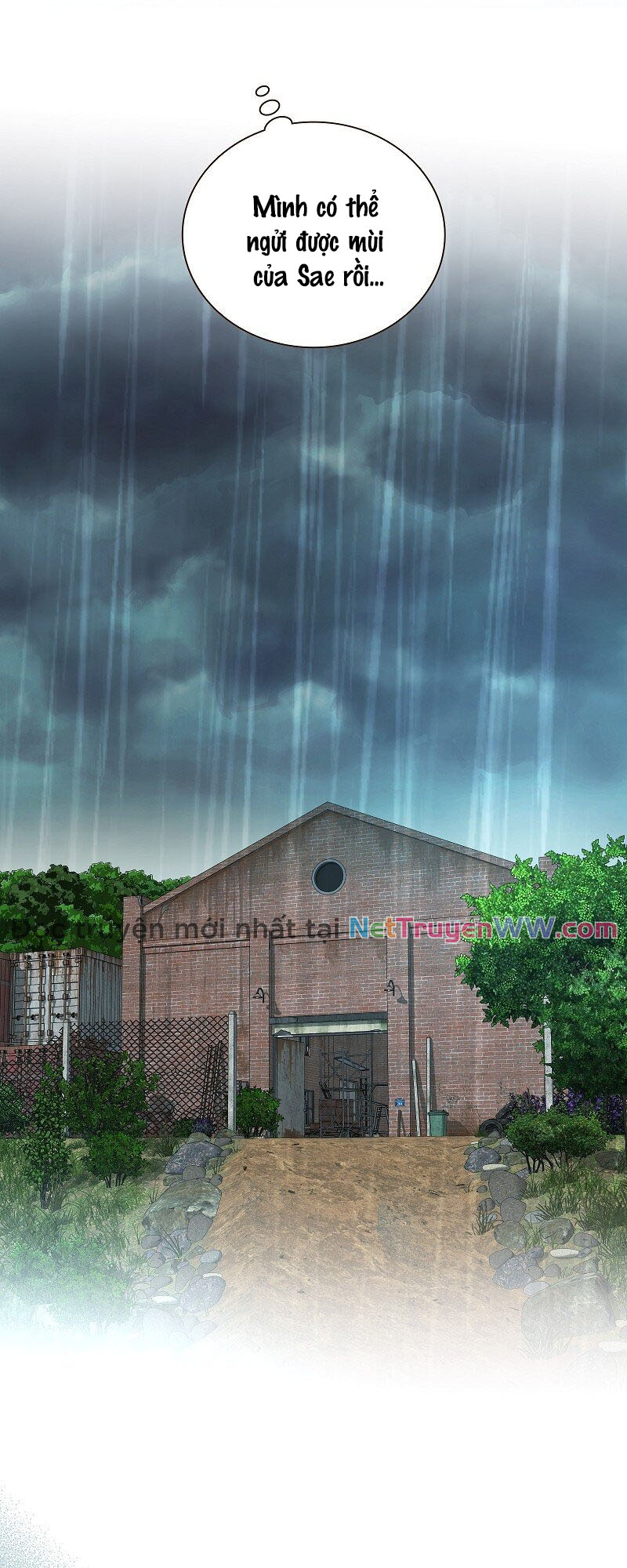 Cô Dâu Của Sói Trắng Chapter 42 - Trang 2