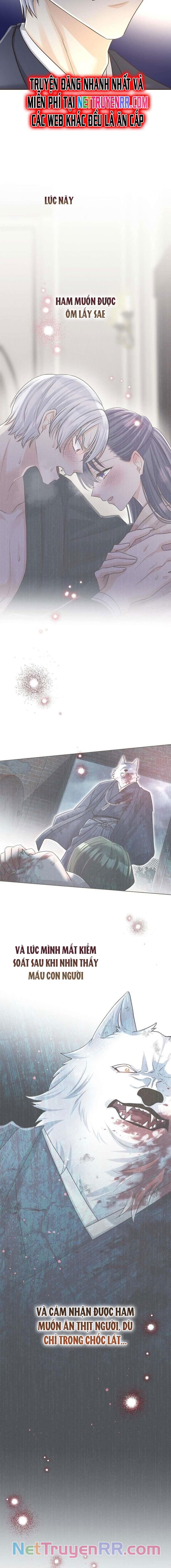 Cô Dâu Của Sói Trắng Chapter 55 - Trang 2
