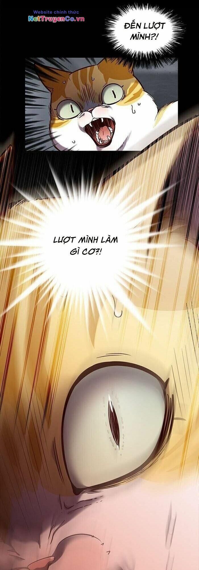 Cô Dâu Của Sói Trắng Chapter 56 - Trang 2