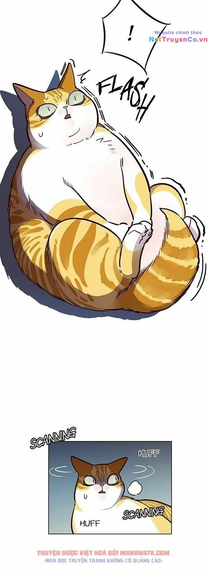 Cô Dâu Của Sói Trắng Chapter 56 - Trang 2