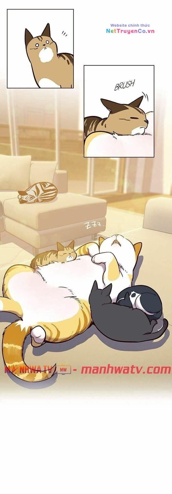 Cô Dâu Của Sói Trắng Chapter 56 - Trang 2