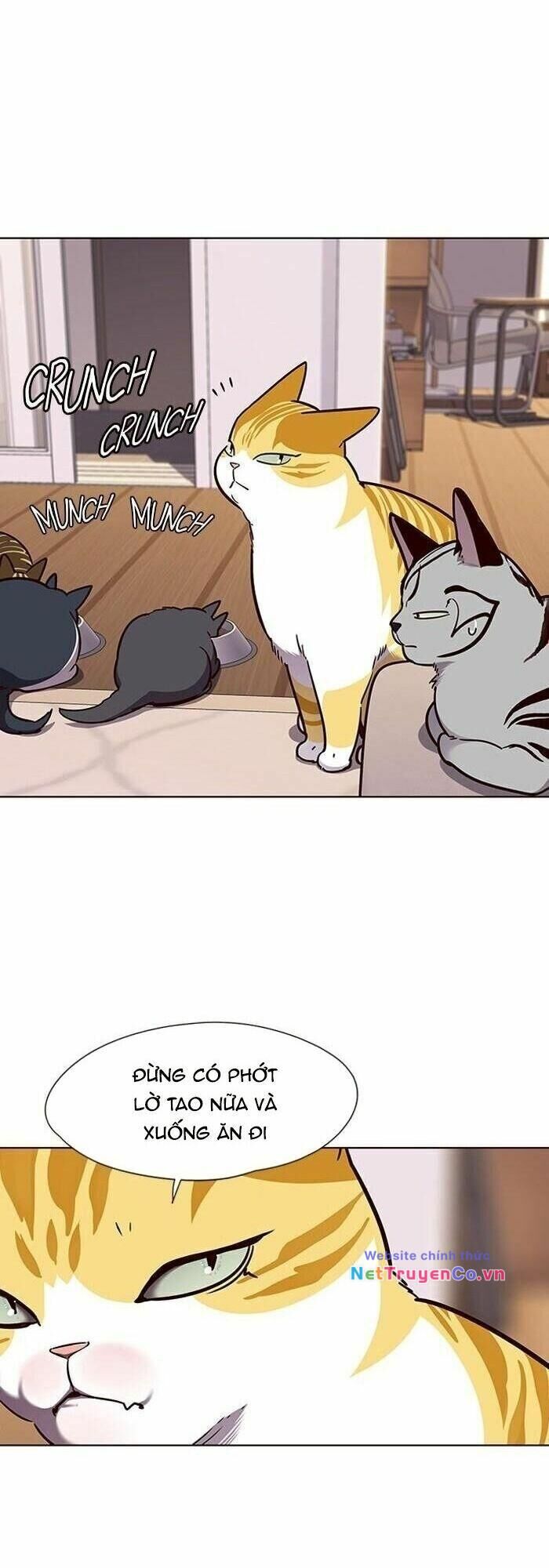 Cô Dâu Của Sói Trắng Chapter 56 - Trang 2