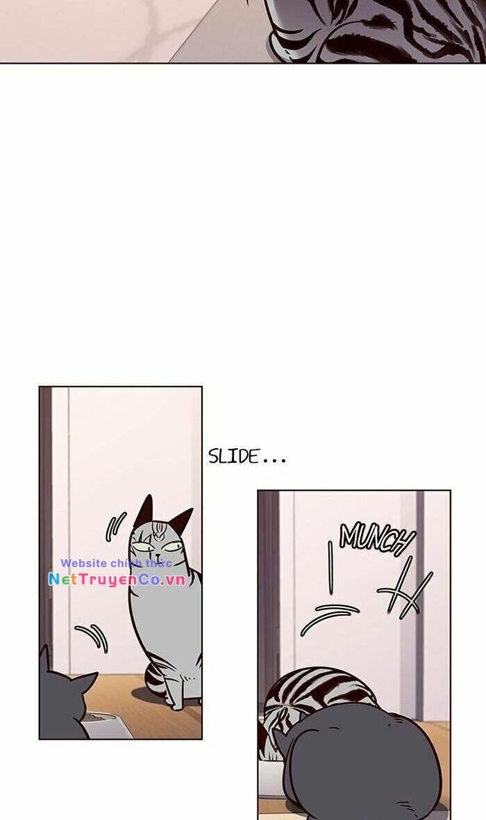 Cô Dâu Của Sói Trắng Chapter 56 - Trang 2