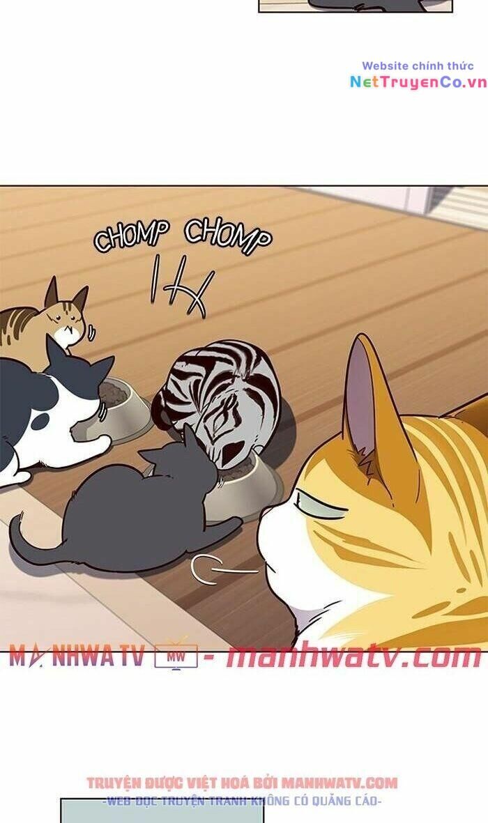 Cô Dâu Của Sói Trắng Chapter 56 - Trang 2