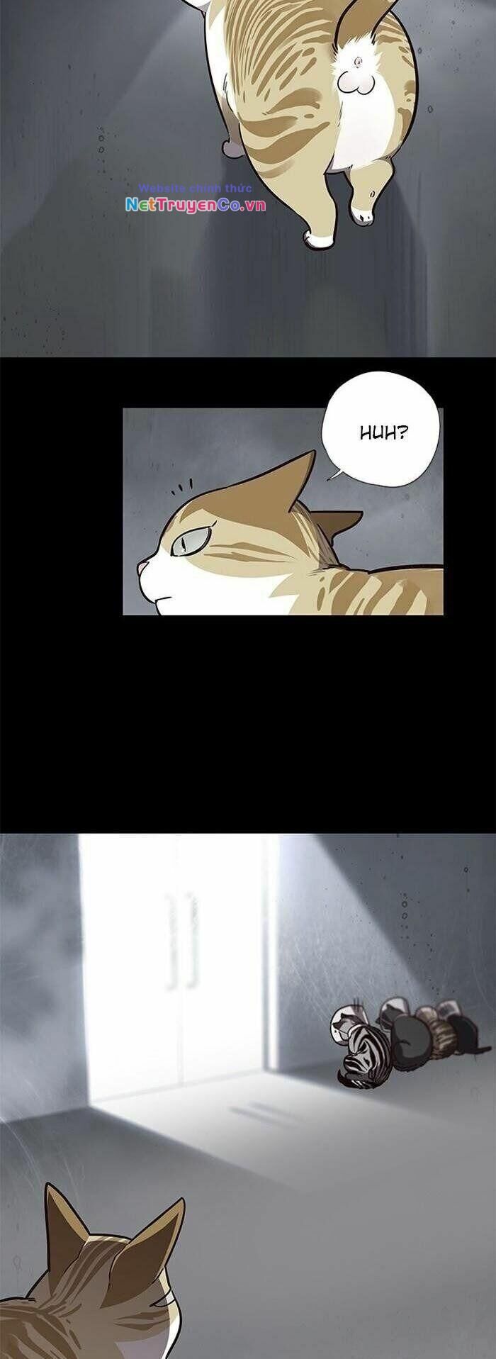 Cô Dâu Của Sói Trắng Chapter 56 - Trang 2