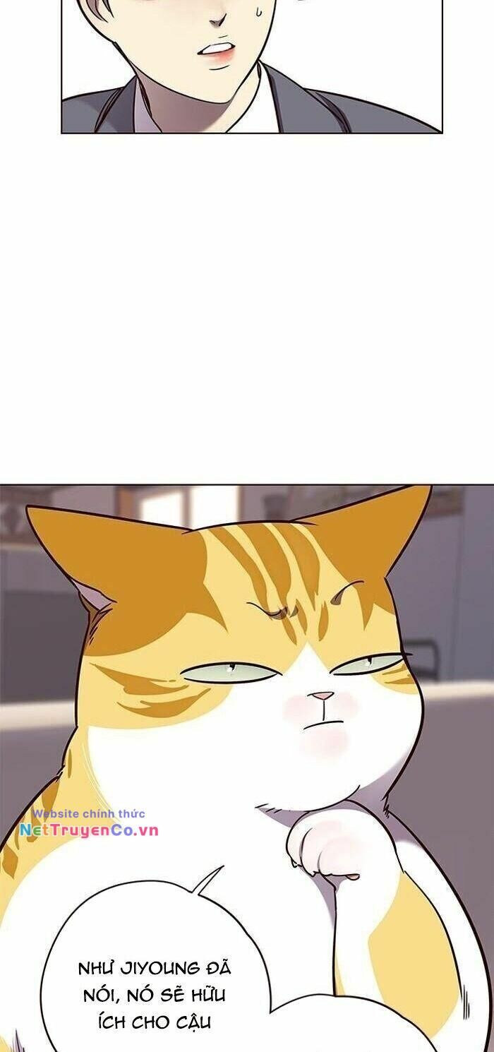 Cô Dâu Của Sói Trắng Chapter 56 - Trang 2