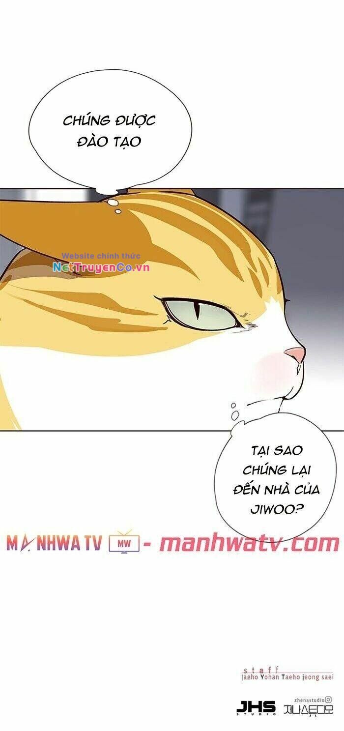 Cô Dâu Của Sói Trắng Chapter 57 - Trang 2