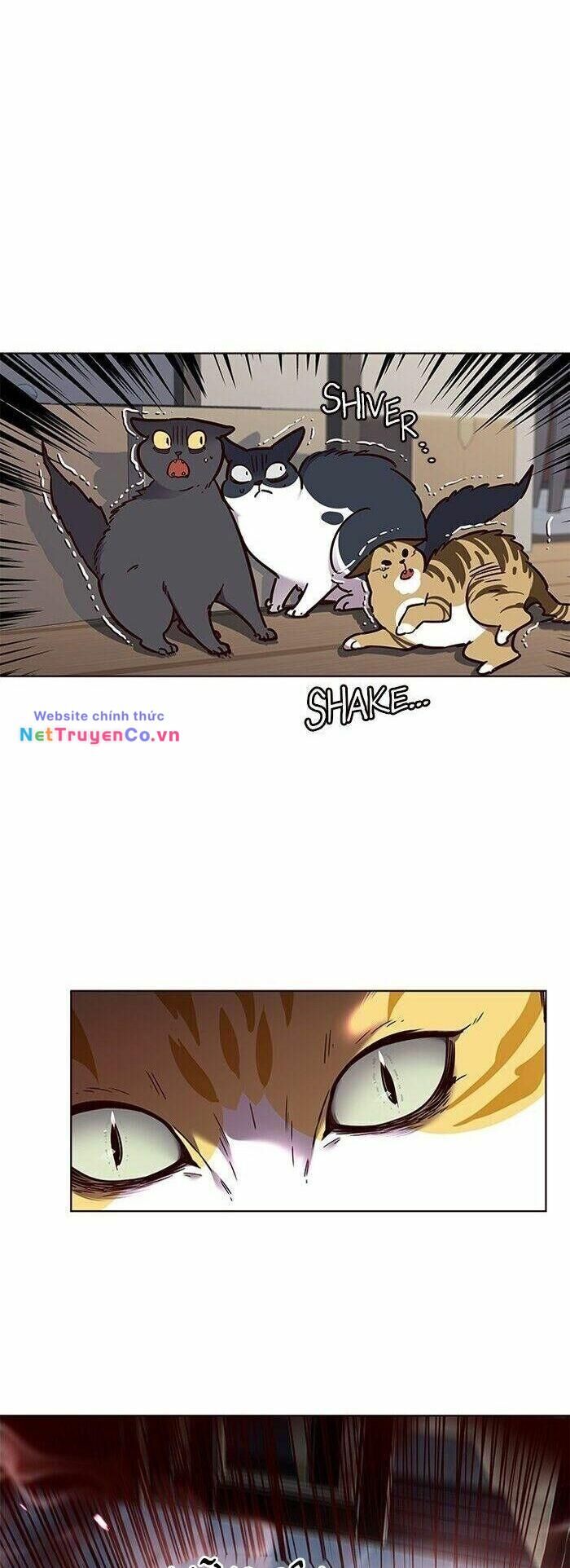 Cô Dâu Của Sói Trắng Chapter 58 - Trang 2