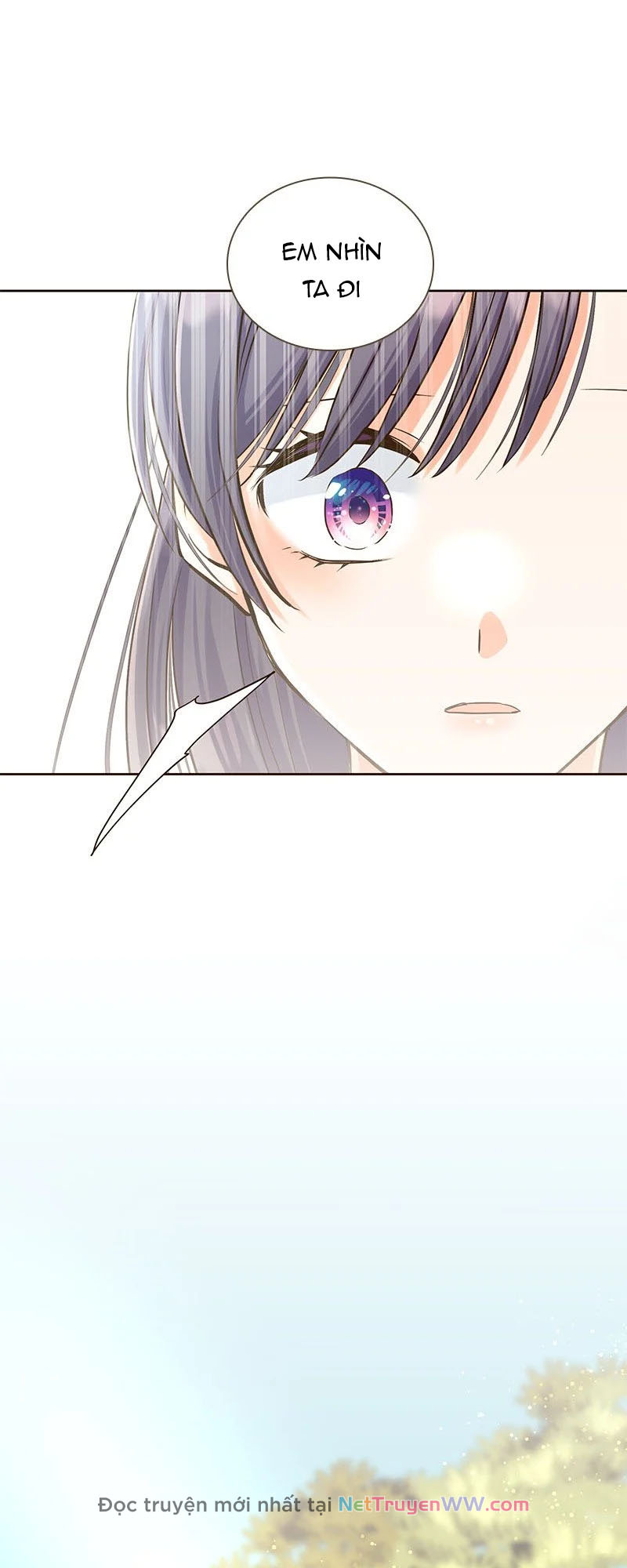 Cô Dâu Của Sói Trắng Chapter 6 - Trang 2