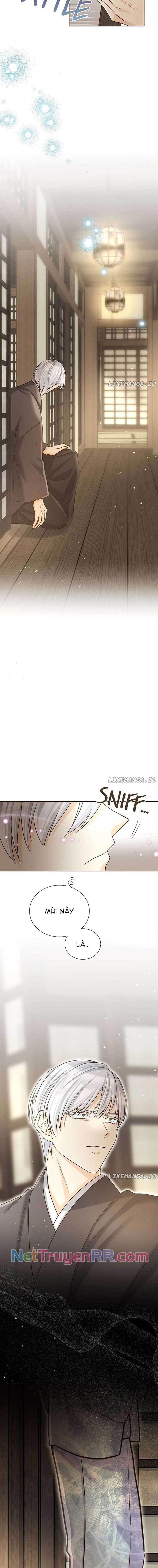 Cô Dâu Của Sói Trắng Chapter 62 - Trang 2