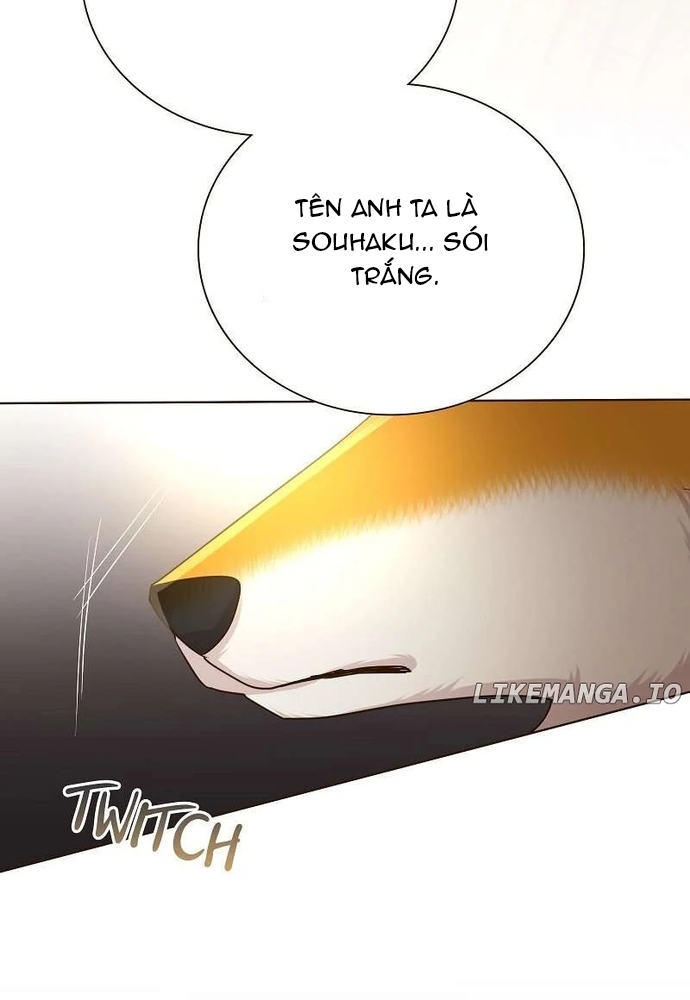 Cô Dâu Của Sói Trắng Chapter 79.1 - Trang 2