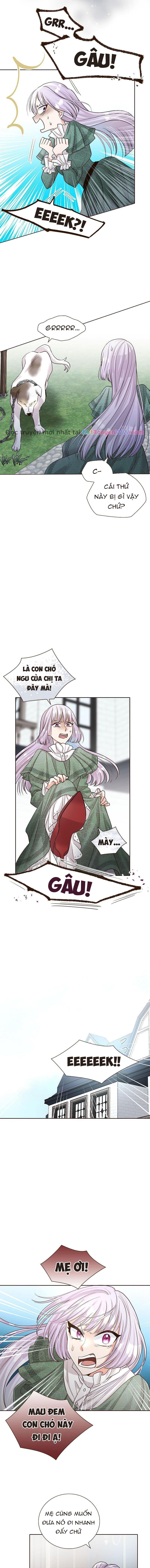 Cô Dâu Của Sói Trắng Chapter 8 - Trang 2