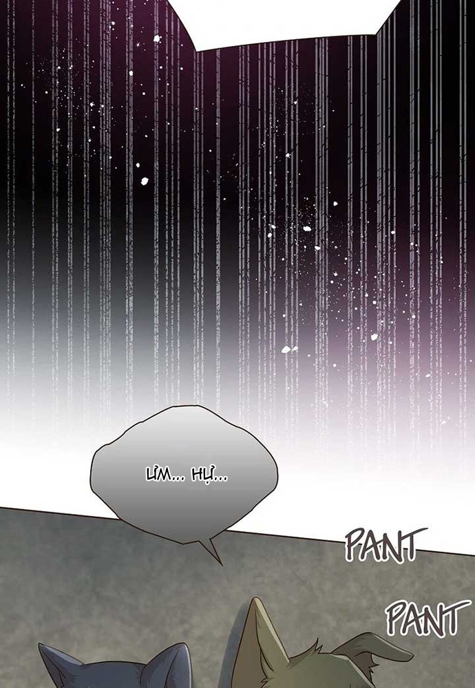 Cô Dâu Của Sói Trắng Chapter 81.1 - Trang 2