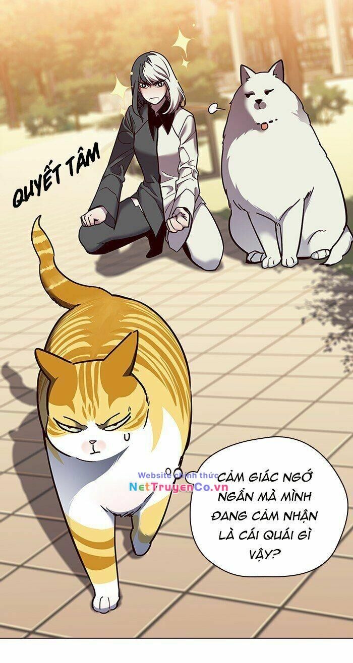 Cô Dâu Của Sói Trắng Chapter 81 - Trang 2